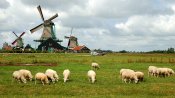 Holandsko - skanzen v Zaanse Schans